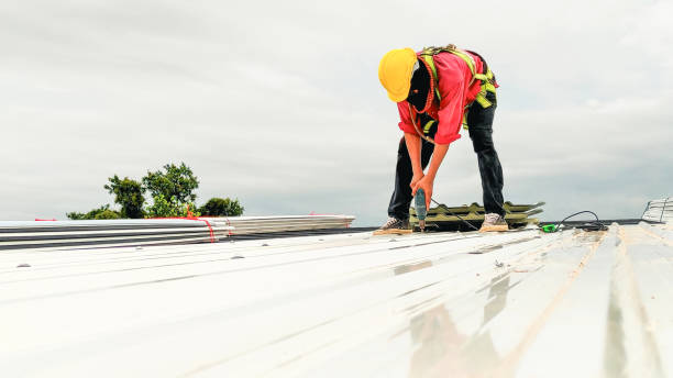 Best Asphalt Shingles Roofing  in Woodbury, MN