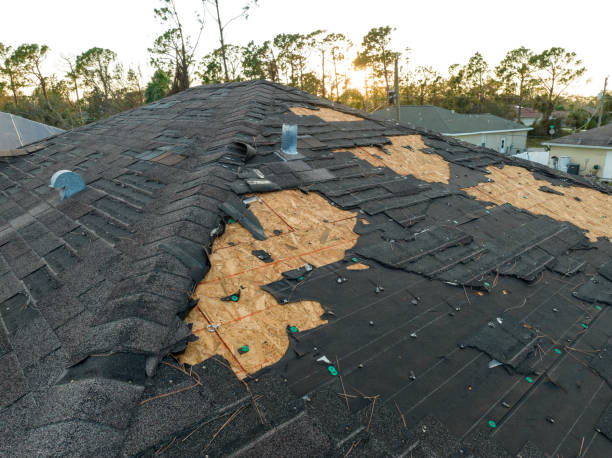 Best Commercial Roofing Services  in Woodbury, MN
